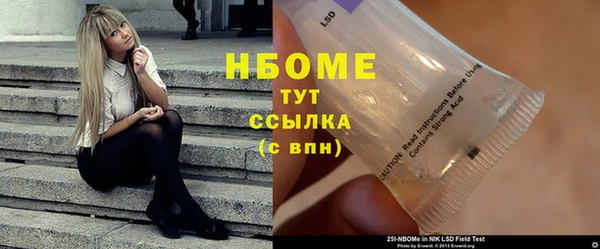 индика Балахна