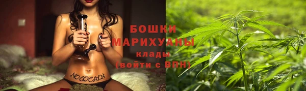 индика Балахна
