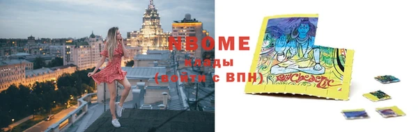 индика Балахна