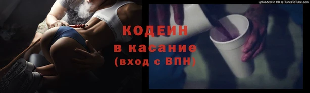 индика Балахна
